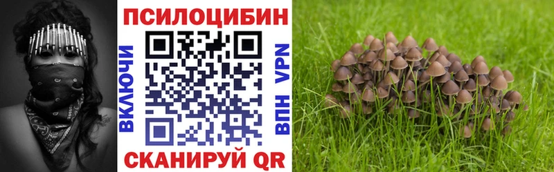 Галлюциногенные грибы прущие грибы  Купить где  Медвежьегорск 